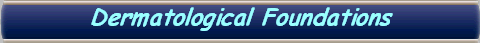 Dermatological Foundations